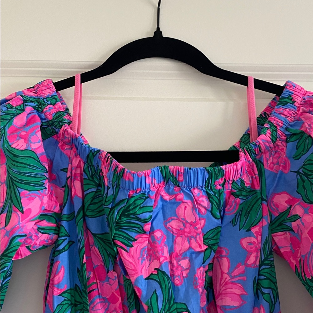 Lilly Pulitzer Pink and Blue Floral Maxi Dress - Picture 2 of 6